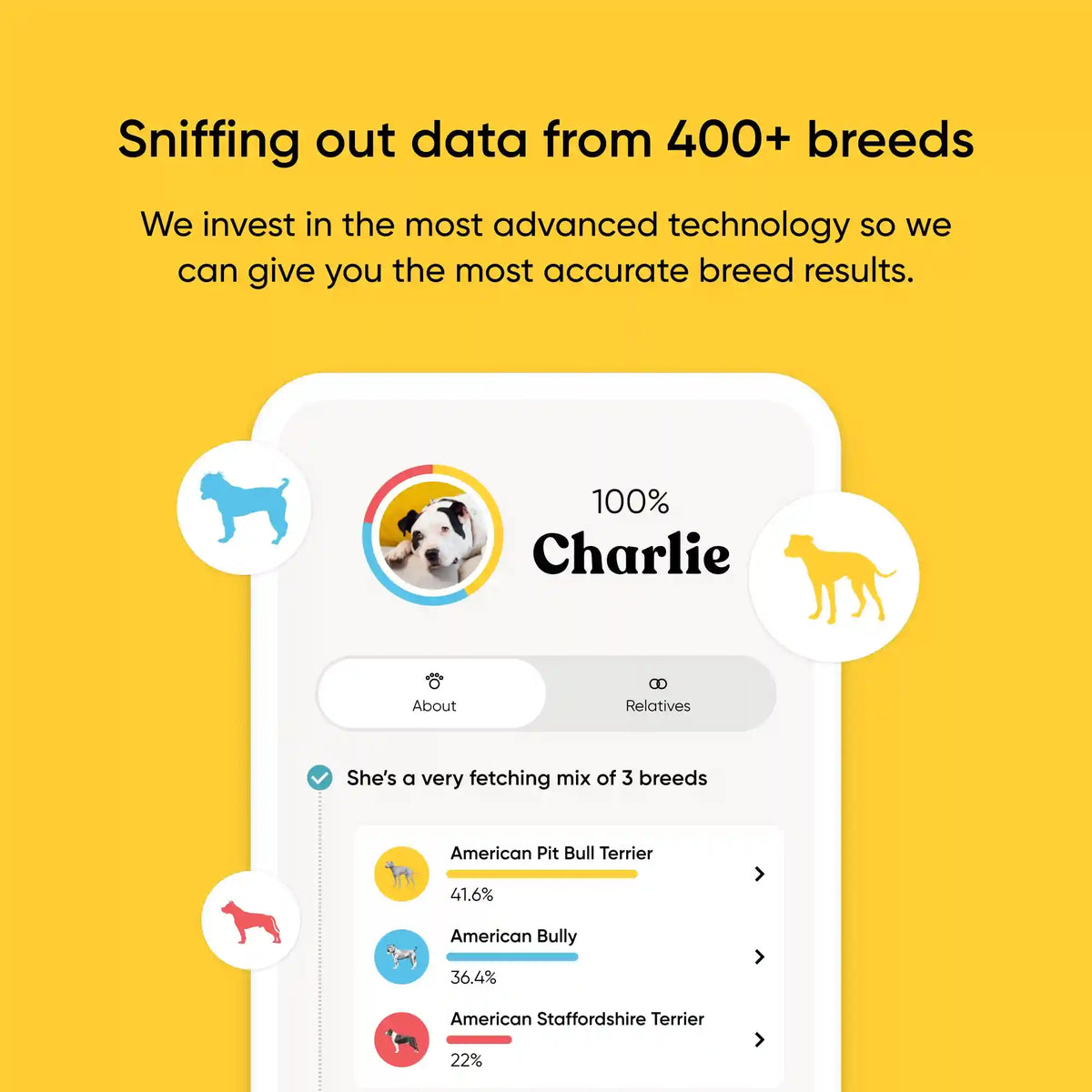 Breed + Health Test 2-Pack