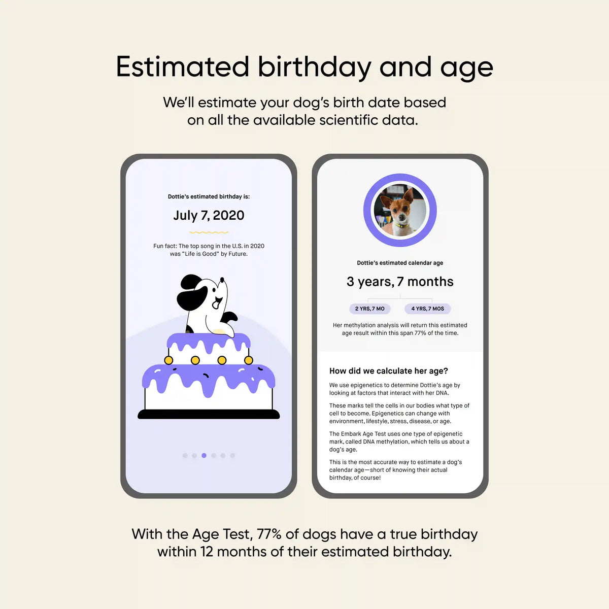 Dog Age Test